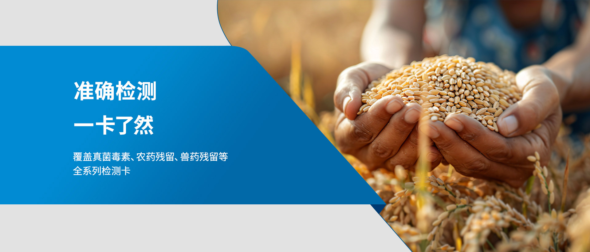 快速检测卡生产厂家