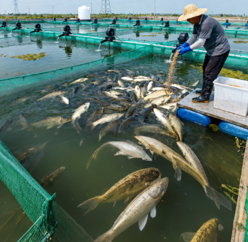 抗生素滥用问题引关注，荧光定量检测卡推动水产养殖规范化